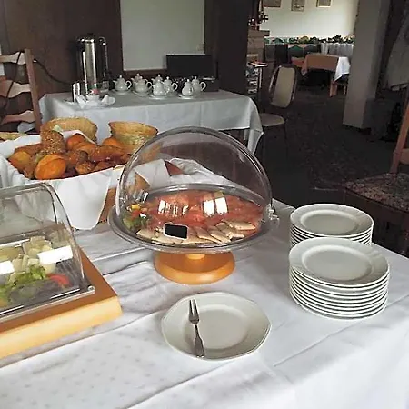 Park-hotel 호텔 바트 회닝겐